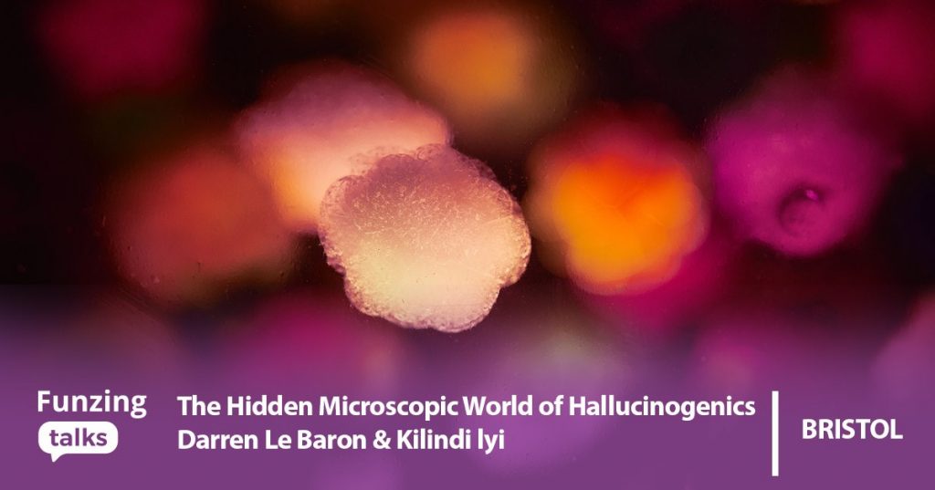 hallucinogenics-talk-funzing