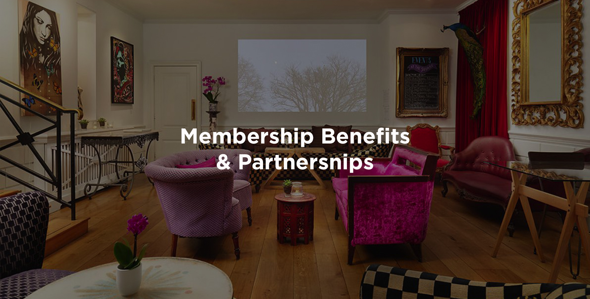 membership-benefits-and-partnerships