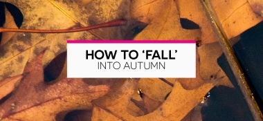 How to Fall into Autumn