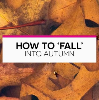 How to Fall into Autumn